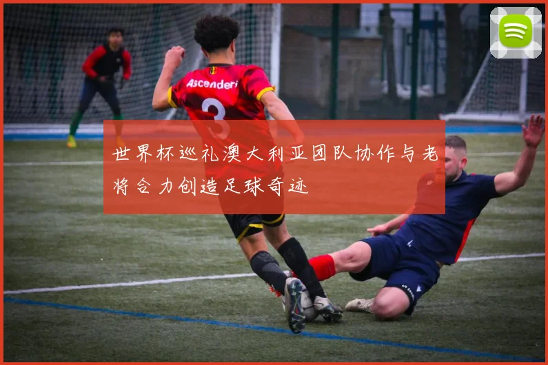 世界杯巡礼澳大利亚团队协作与老将合力创造足球奇迹