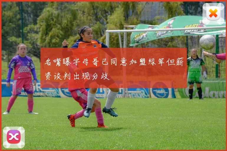 名嘴曝字母哥已同意加盟绿军但薪资谈判出现分歧